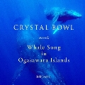 CRYSTAL BOWL meets Whale Song in Ogasawara Islands