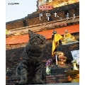 岩合光昭の世界ネコ歩き タイ・チェンマイ