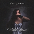 ワイルド・ストーム