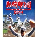 熱闘甲子園 2014 ～第96回大会 48試合完全収録～