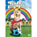 サッカー・ドッグ