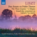 Liszt: Duo Sonata on Polish Themes, The Three Gypsies, 2 Elegies, etc