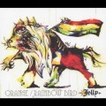 ORANGE/RAINBOW BIRD