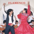 キング・ベスト・セレクト・ライブラリー２００７　フラメンコ