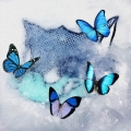 Frozen Butterfly [CD+DVD]