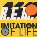 イミテイション・オブ・ライフ