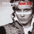 エッセンシャル・アダム・アント