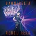 REBEL FLAG [CD+DVD]＜初回生産限定盤＞