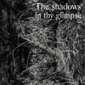 The Shadows In Thy Glimpse: Bedouin Records Selected Discography 2016-2018