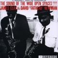 ザ・サウンド・オブ・ザ・ワイド・オープン・スペーセス