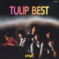 TULIP BEST 心の旅