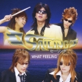 WHAT FEELING