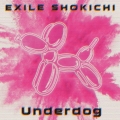 Underdog [CD+DVD]
