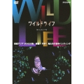 ワイルドライフ 東南アジア ボルネオ島 華麗! 巧妙! 鳥たちの空中ハンティング