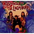 Adventure OF THE LADYBUGS