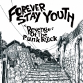 Revenge of the Punk Rock