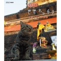 岩合光昭の世界ネコ歩き タイ・チェンマイ