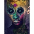 THE INSULATED WORLD [Blu-spec CD2+CD+DVD]＜完全生産限定盤＞