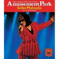 1991 Concert Tour Amusement Park