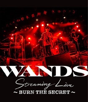 WANDS Streaming Live ～BURN THE SECRET～
