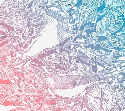 Route of migratory Route of migratory