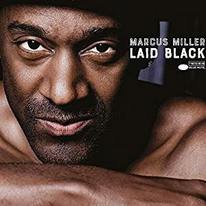 Laid Black Laid Black