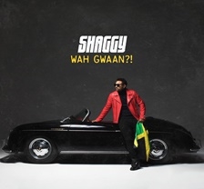Shaggy/Wah Gwaan?![779370]
