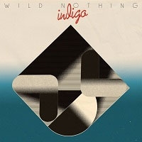 Wild Nothing/indigo[OTCD-6463]