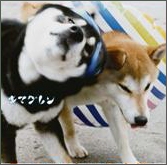 ALIVE [CD+DVD]＜初回盤＞