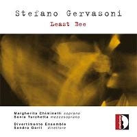 S.Gervasoni: Least Bee