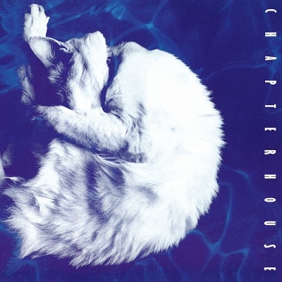 ブランド雑貨総合 Chapterhouse Whirlpool オリジナル盤 LP レコード