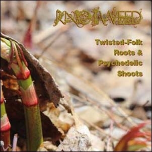 knotweedβ