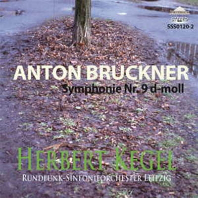 إ٥ȡ/Bruckner Symphony No.9[SSS01202]