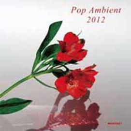 ポップ・アンビエント2012 ポップ・アンビエント2012