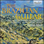 The Brazilian Guitar The Brazilian Guitar