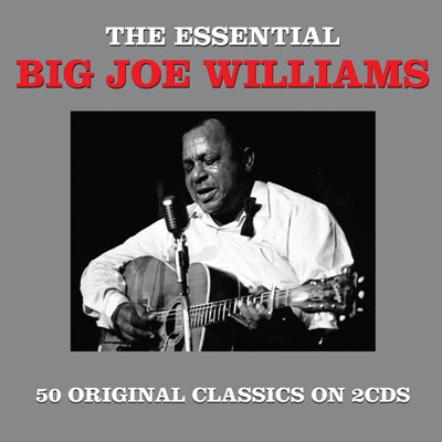 Big Joe Williams/The Essential[NOT2CD470]
