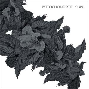 TOWER RECORDS ONLINE㤨Mitochondrial Sun/Mitochondrial Sun[REX170]פβǤʤ2,490ߤˤʤޤ