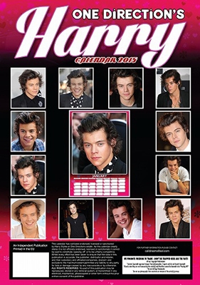 Harry Styles / 2015 Calendar (Dream International)