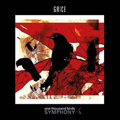 TOWER RECORDS ONLINE㤨Grice/One Thousand Birds Symphony[HS030]פβǤʤ2,890ߤˤʤޤ