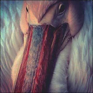 The Empire Line The Empire Line