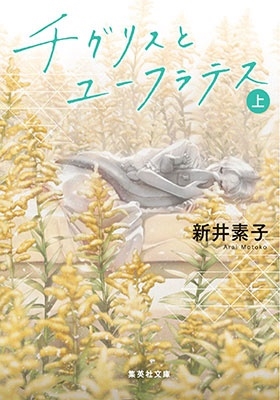 チグリスとユーフラテス(上) チグリスとユーフラテス(上)