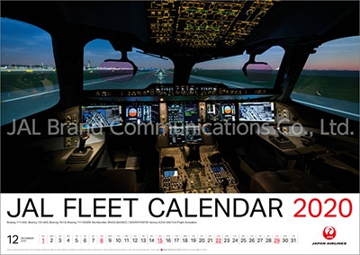 Dショッピング Jal Fleet 大型判 カレンダー Calendar カテゴリ の販売できる商品 タワーレコード ドコモの通販サイト