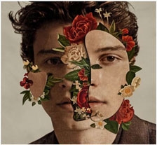 Shawn Mendes/Shawn Mendes (Deluxe Edition)[6756930]