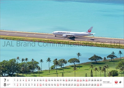 Dショッピング Jal Fleet 大型判 カレンダー Calendar カテゴリ の販売できる商品 タワーレコード ドコモの通販サイト