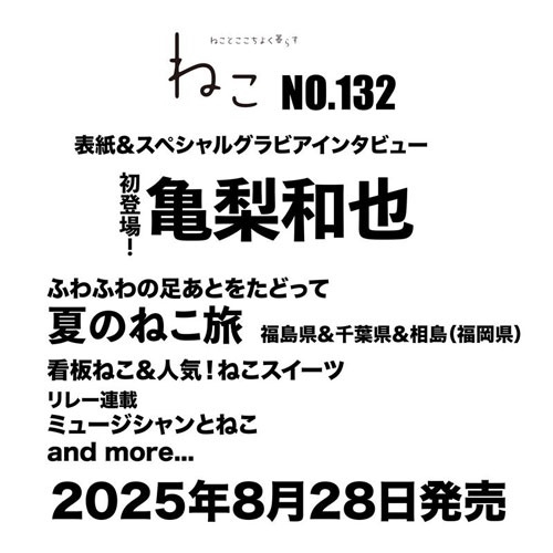 ねこ no.132