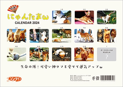 dショッピング |「開運!! にゃんたまω カレンダー2024 カレンダー 2024
