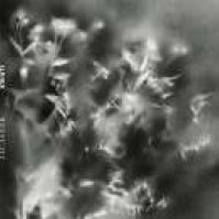 TOWER RECORDS ONLINE㤨Jacaszek/Kwiaty (Colored Vinylס[GI281LPC1]פβǤʤ3,190ߤˤʤޤ