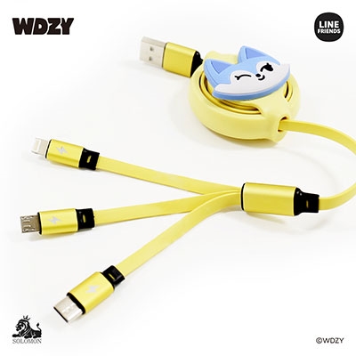 WDZY/WDZY 3 IN 1 充電ケーブル/TUK