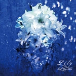Lily Lily