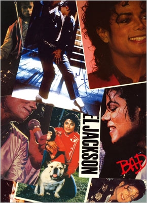 Michael Jackson/マイケル・ジャクソン～真実のマイケル・ジャクソン